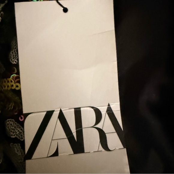 Zara | Multicolor Sequins Dress with Velvet Trim | 9620 / 026 | Sz M - Picture 10 of 13